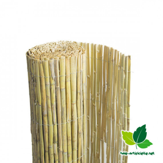 Distributeur Canisse en osier naturel - France Green 1m50 x 5m