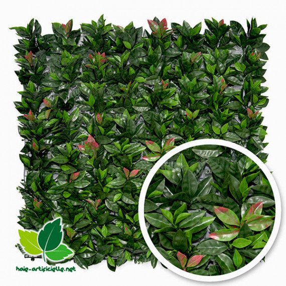 Haie Artificielle photinia 1m² revêtement mural