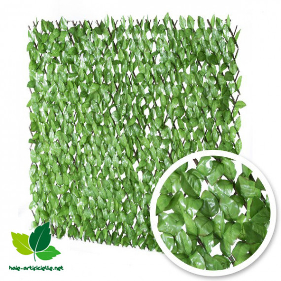 Brise Vue Feuillage,Haie Artificielle Extensible sur Treillis, Brise Vue  Vert Brise Vue Balcon Vert Bache Brise Vue TREEECFCST