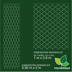 Treillis Extensible en Feuilles Laurier Amande - 1m x 2m