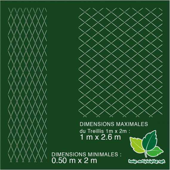 Treillis Extensible FEUILLES DE PHOTINIA - 1m x 2m extensible