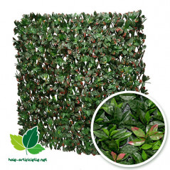 Treillis Extensible Feuilles imitation photinia 1m x 2m