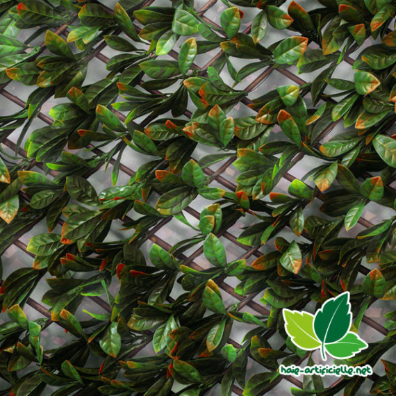 Treillis Extensible FEUILLES DE PHOTINIA traité anti-uv