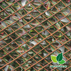 Feuilla synthétique extensible feuilles de photinia sans entretien