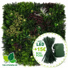Mur Végétal Artificiel OASIS 1m x 1m avec LED