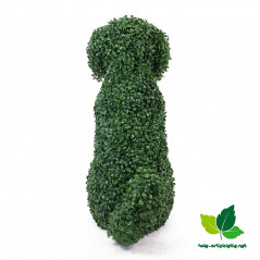 labrador buis artificiel