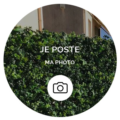 je poste mes photos de haies artificielles en ligne